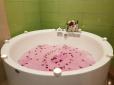 Aquarium Hotel Suites -Riyadh image 15
